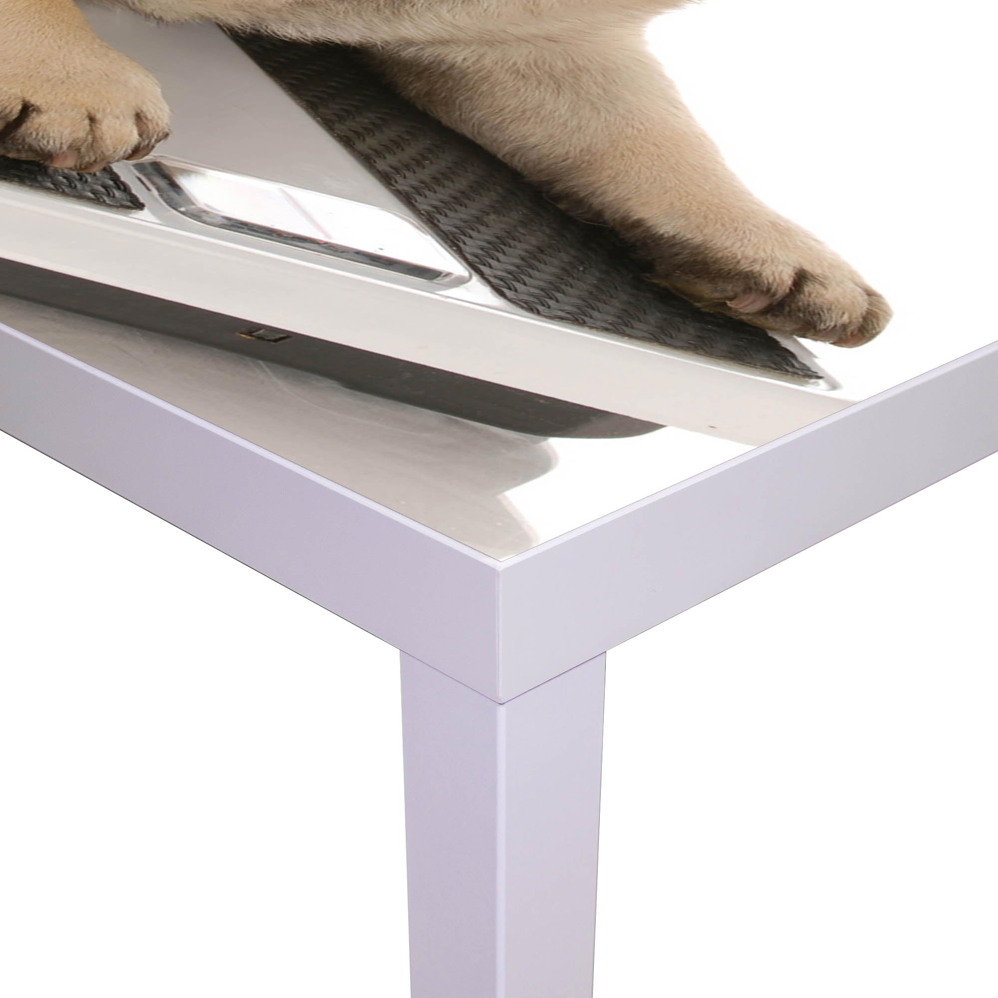 Banjado Möbelfolie Mops Tischfolie 55x55 cm selbstklebend