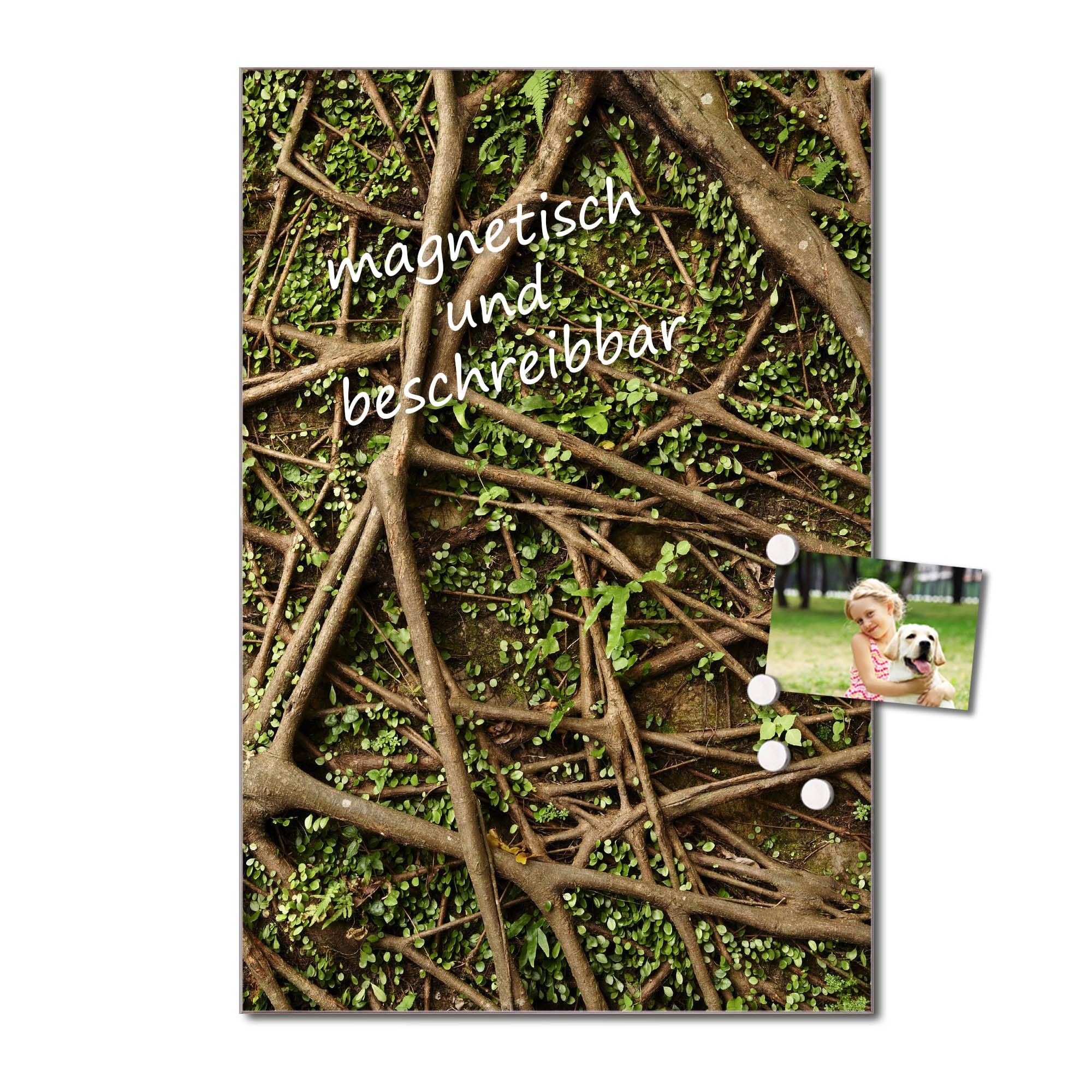 Banjado Magnettafel Baumwurzel Magnetboard 60x40 cm Natur
