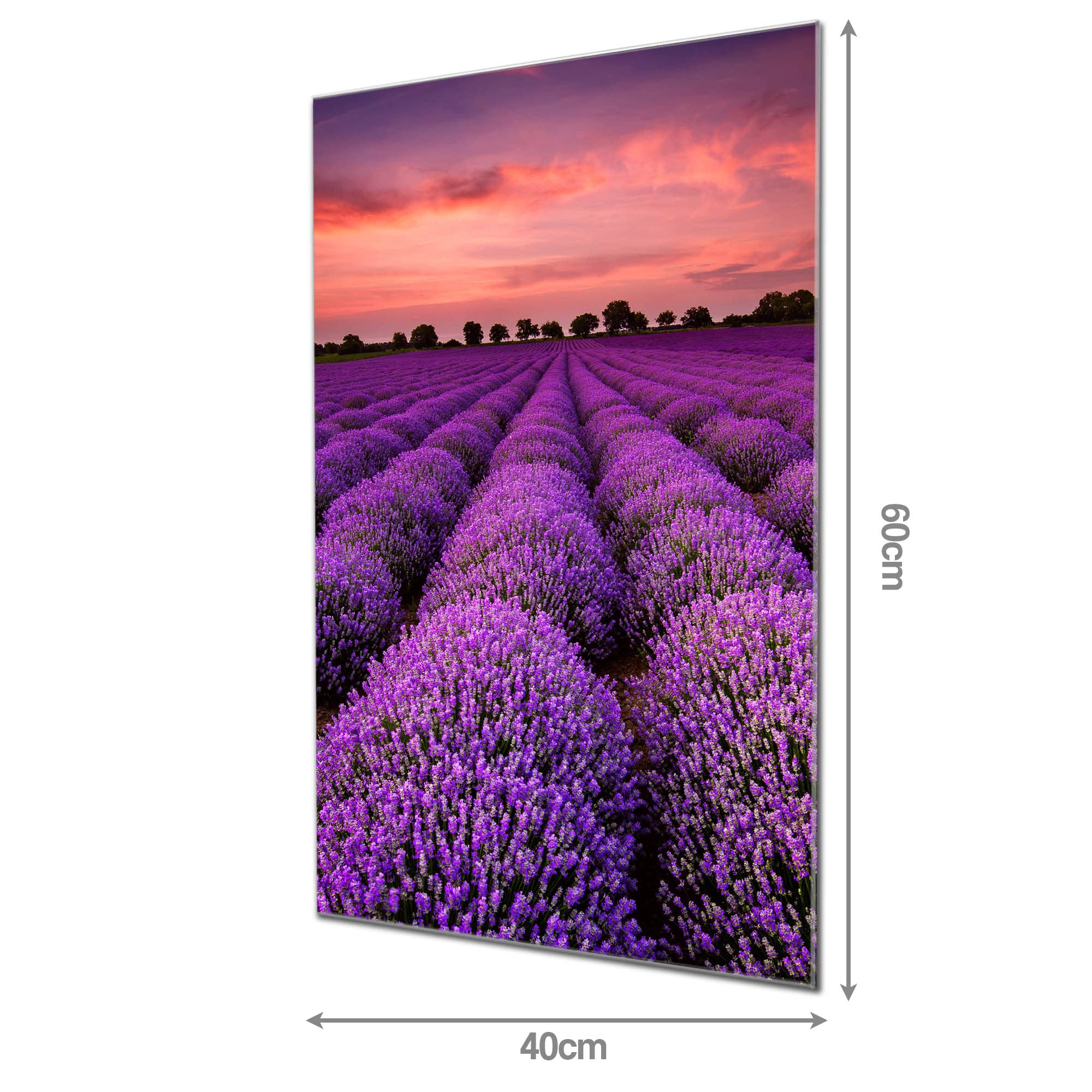Banjado Magnettafel Lavendelfeld Glas 40x60 cm Blumen