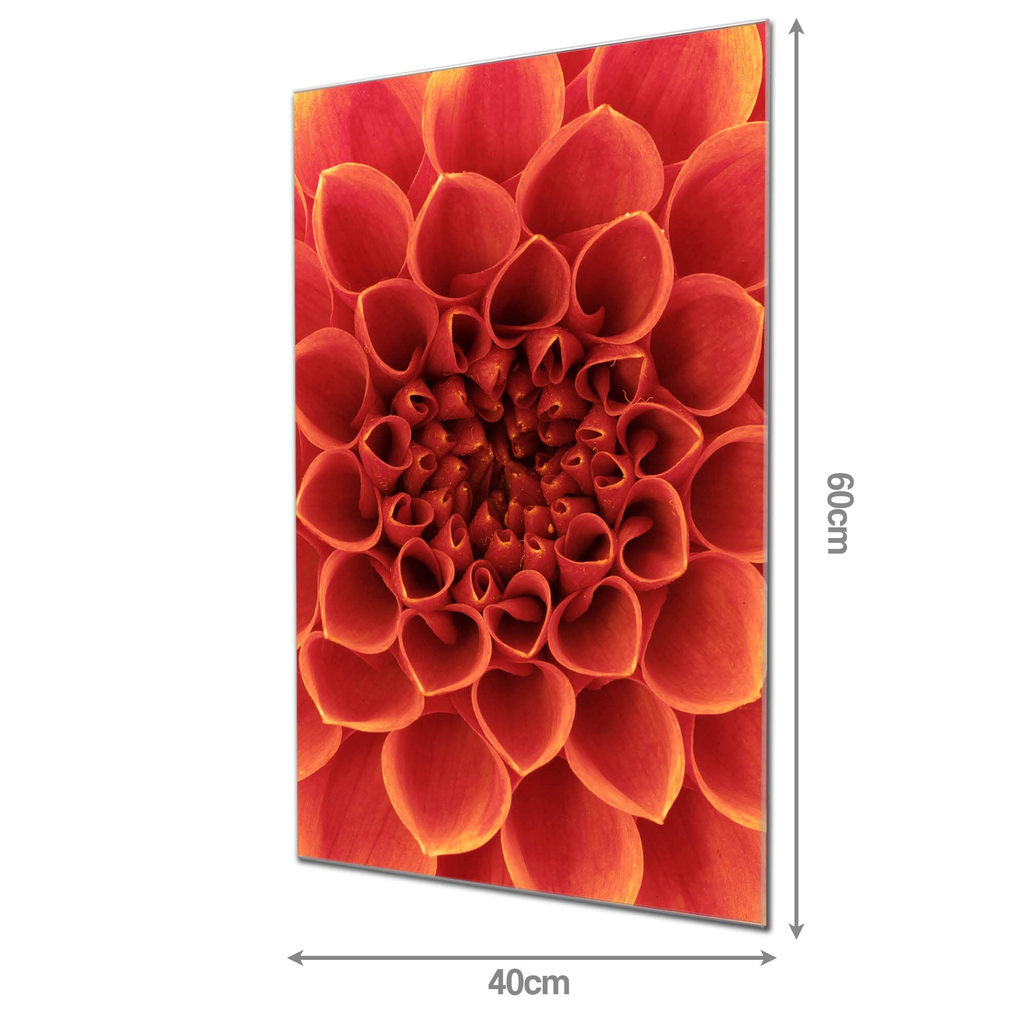 Banjado Magnettafel Orange Chrysantheme Board 40x60 Glas