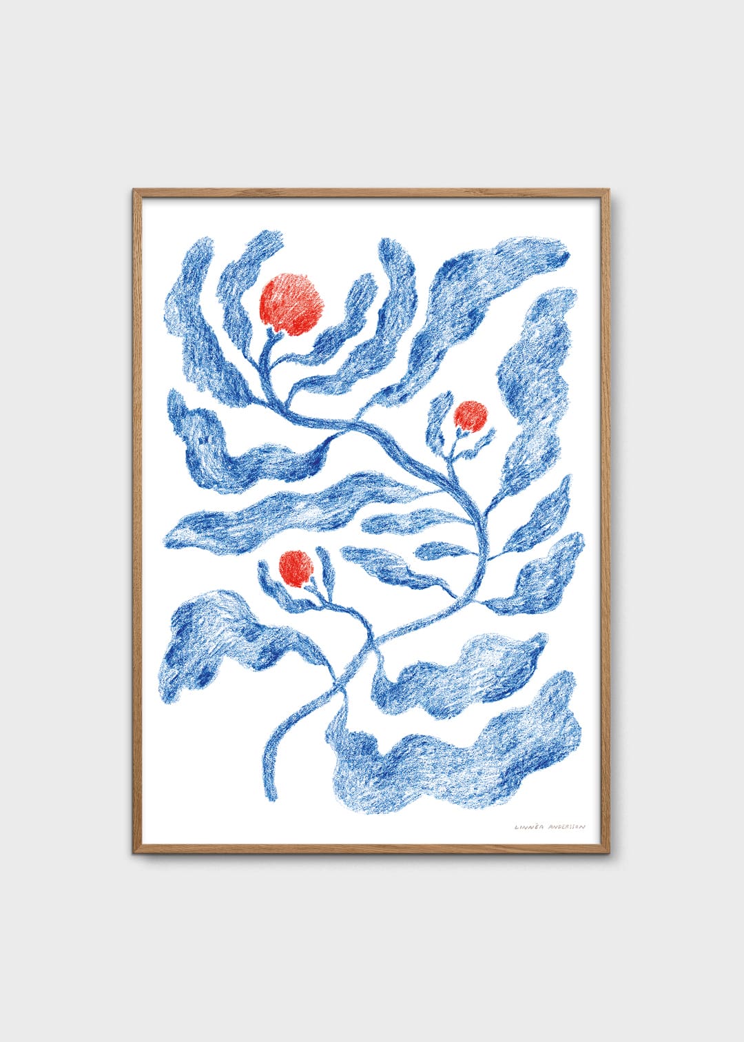 The Poster Club Art Prints Fruits Poster 30x40 cm Botanik