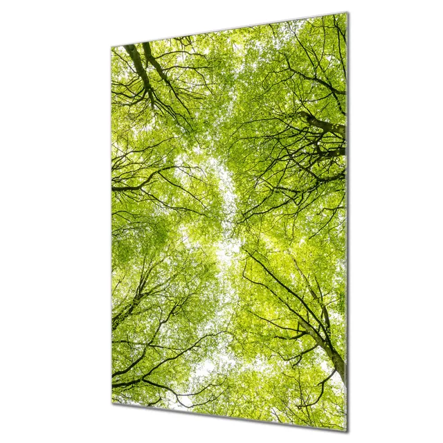 Banjado Magnettafel Zwischen Bäumen Glasboard 40x60 Wald