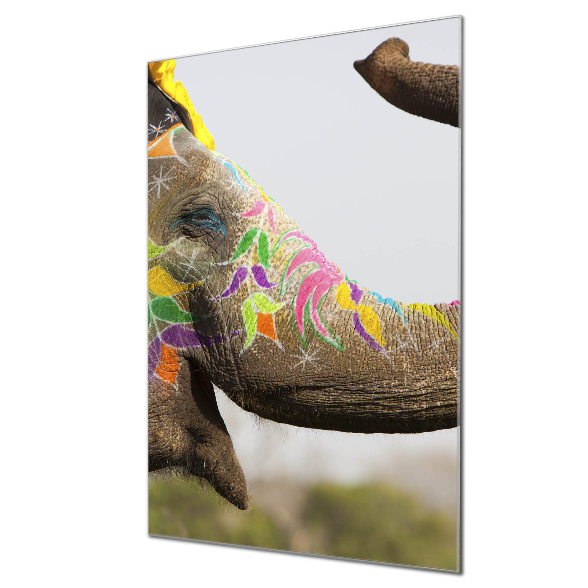 Banjado Magnettafel Glas 40x60cm Pinnwand Indischer Elephant Tier