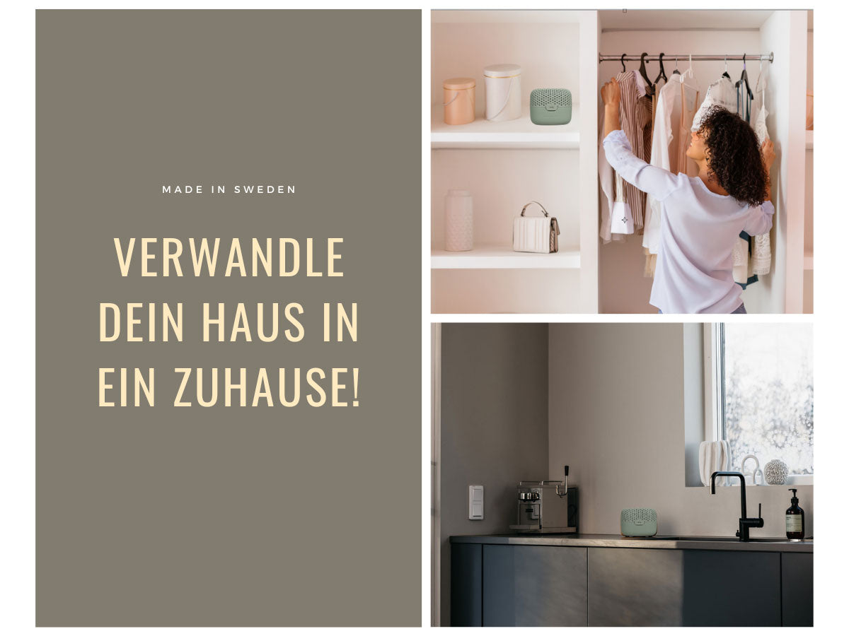 LS-LebenStil Absodry Duo Family Series 3 Luftentfeuchter Grün