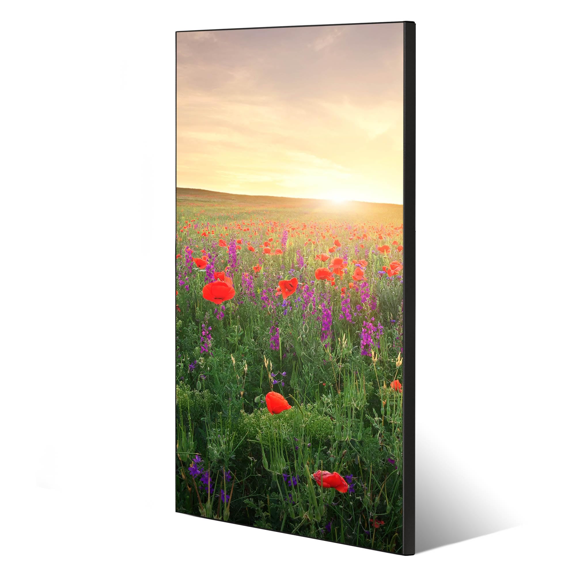 Banjado Magnettafel Sommerfeld weiß 78x37cm magnetisch