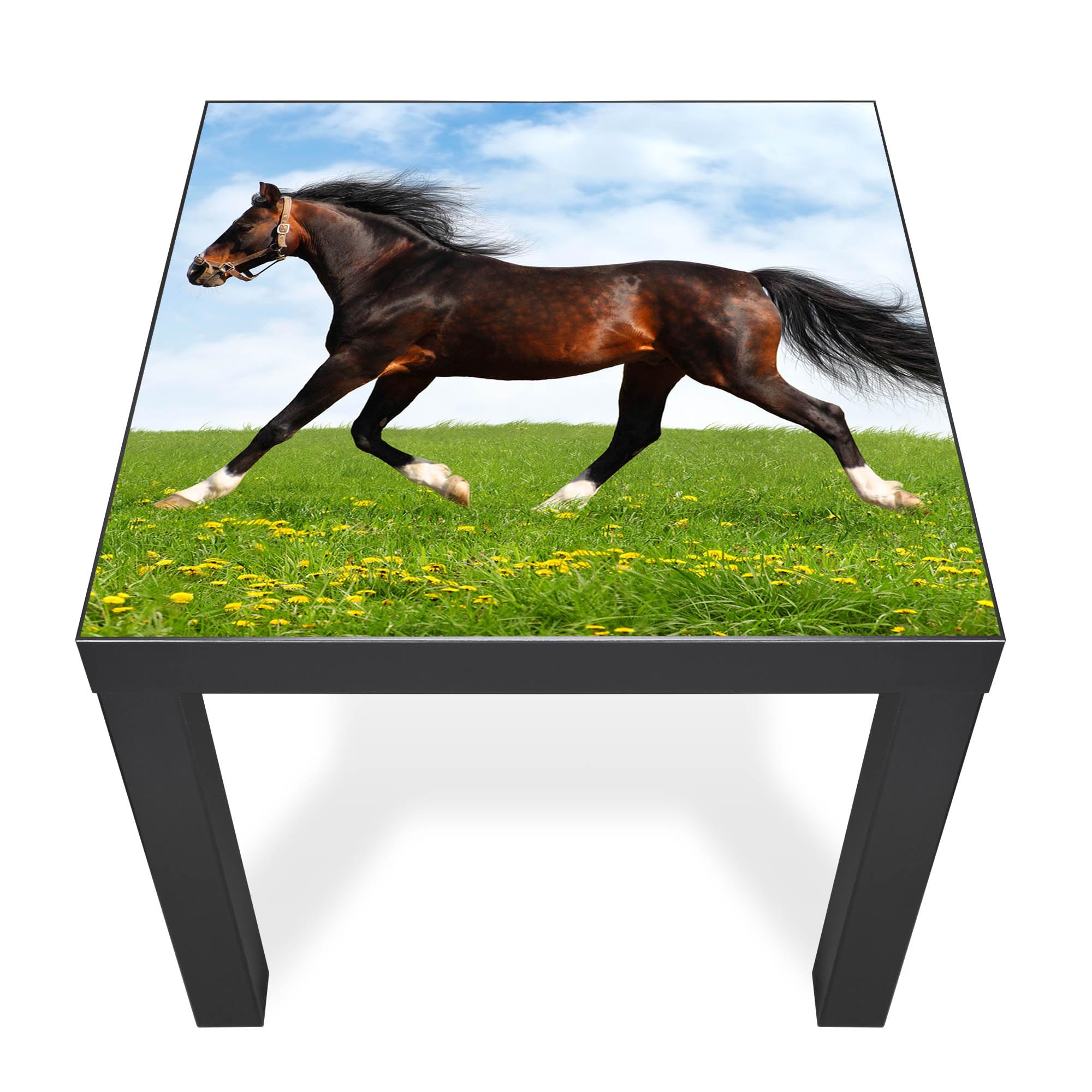 Banjado Möbelfolie Pferd Tischfolie 55x55 für IKEA LACK selbstklebend