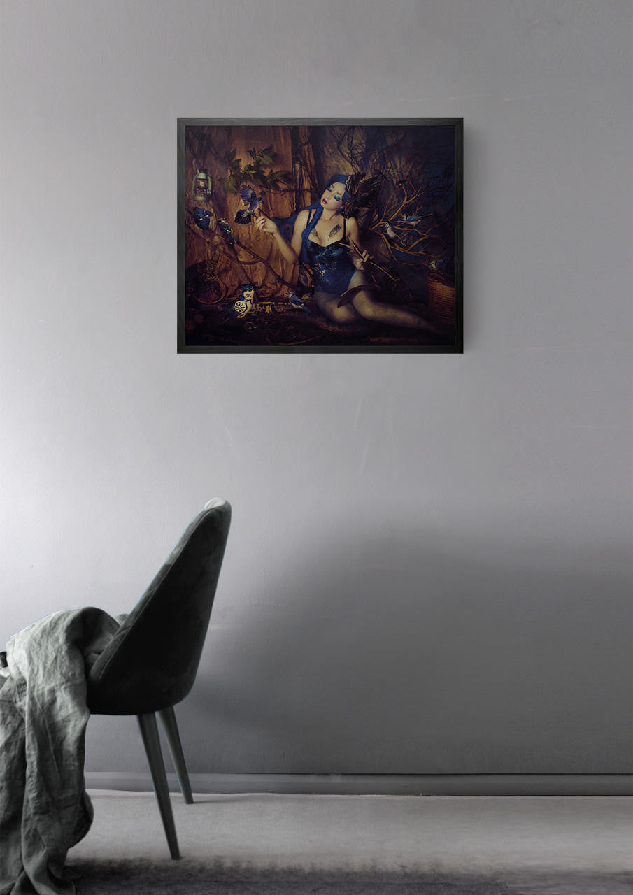 Mineheart Wall Art Bluejay Leinwand gerahmt Mini 53x43 cm