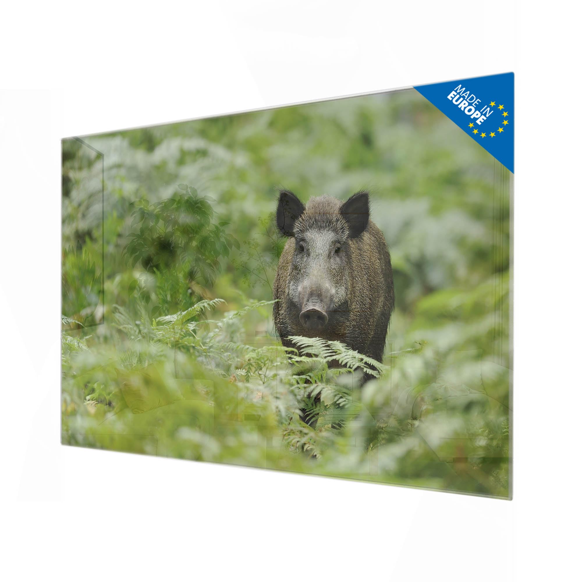 Banjado Magnettafel Wildschwein Glasmagnettafel 120x80 cm