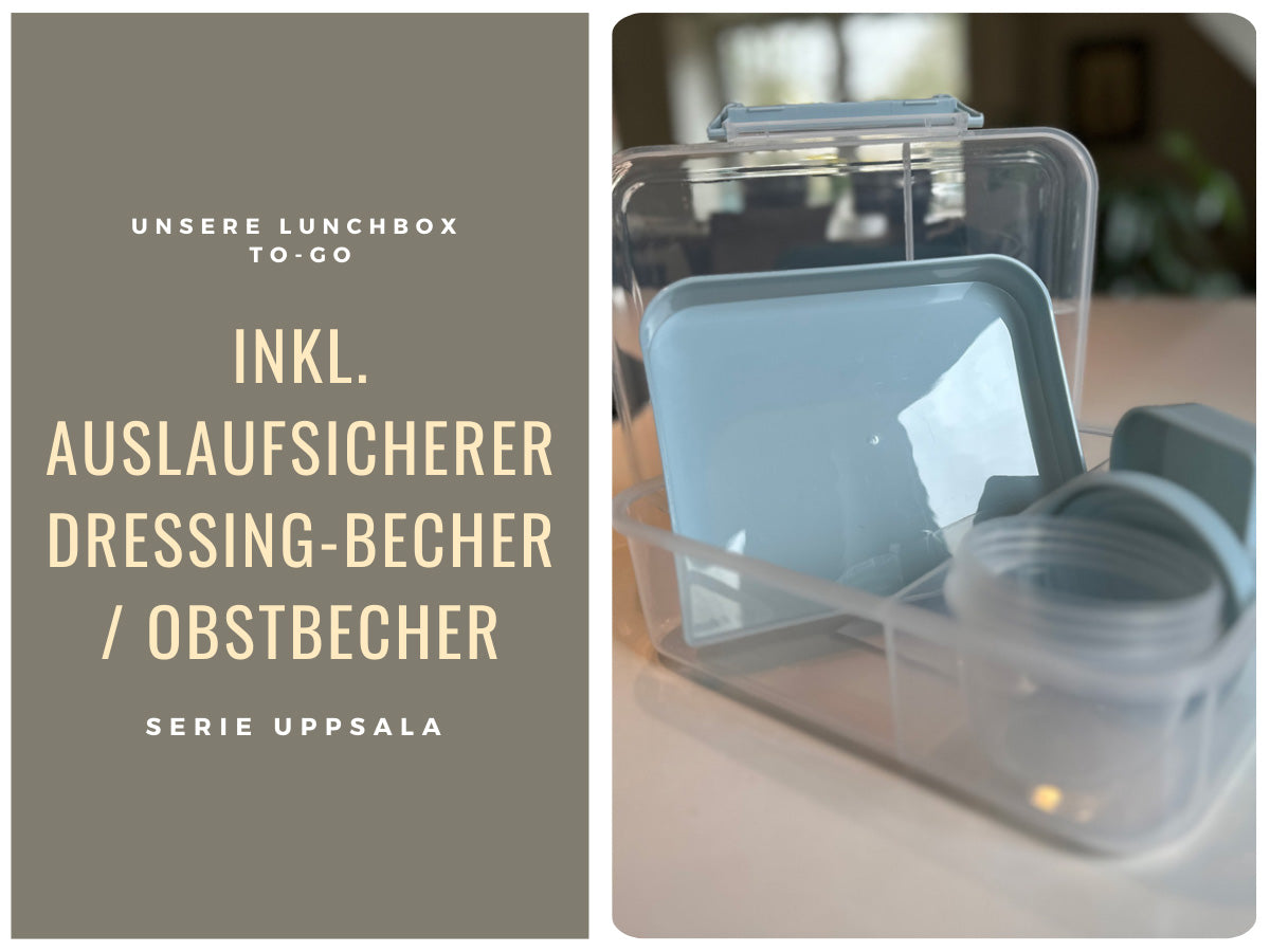 LS-LebenStil Küche & Haushalt Bento Box Blau 3 Fächer 2 Ebenen