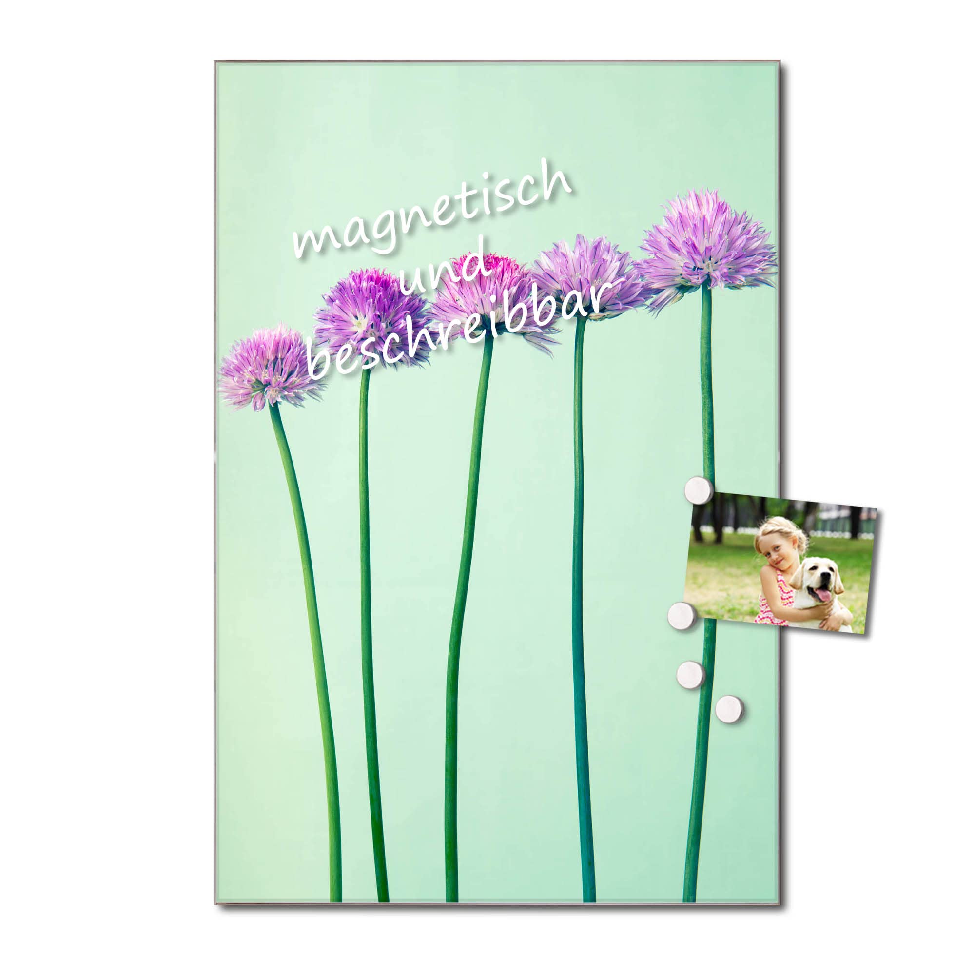 Banjado Magnettafel Klee in Reihe Glasboard 60x40cm Blumen