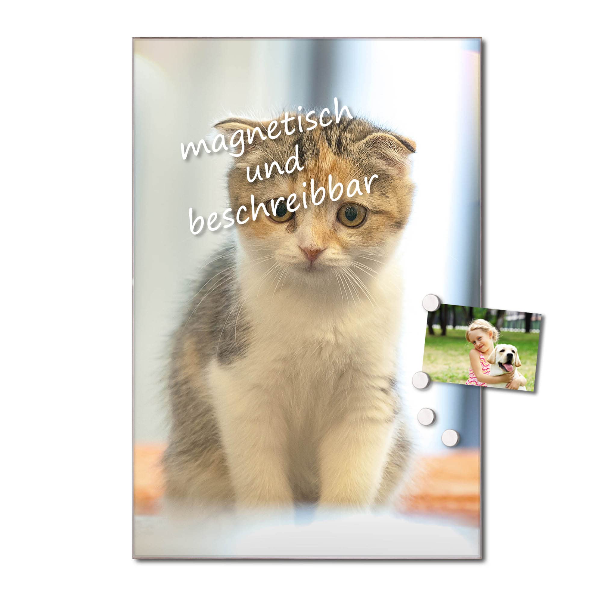 Banjado Magnettafel Kleine Katze Magnettafel 60x40 cm Glas