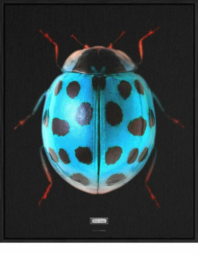 Mineheart Sir Ladybug Canvas Wandbild ohne Rahmen 30x41cm Insekt