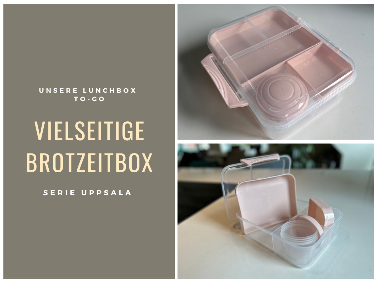 LS-LebenStil Küche & Haushalt Bento Box Rosa 3 Fächer 2 Ebenen