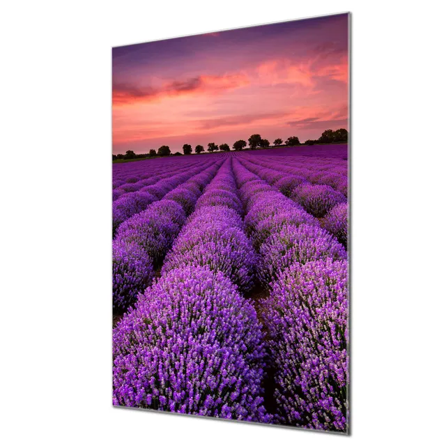 Banjado Magnettafel Lavendelfeld Glas 40x60 cm Blumen