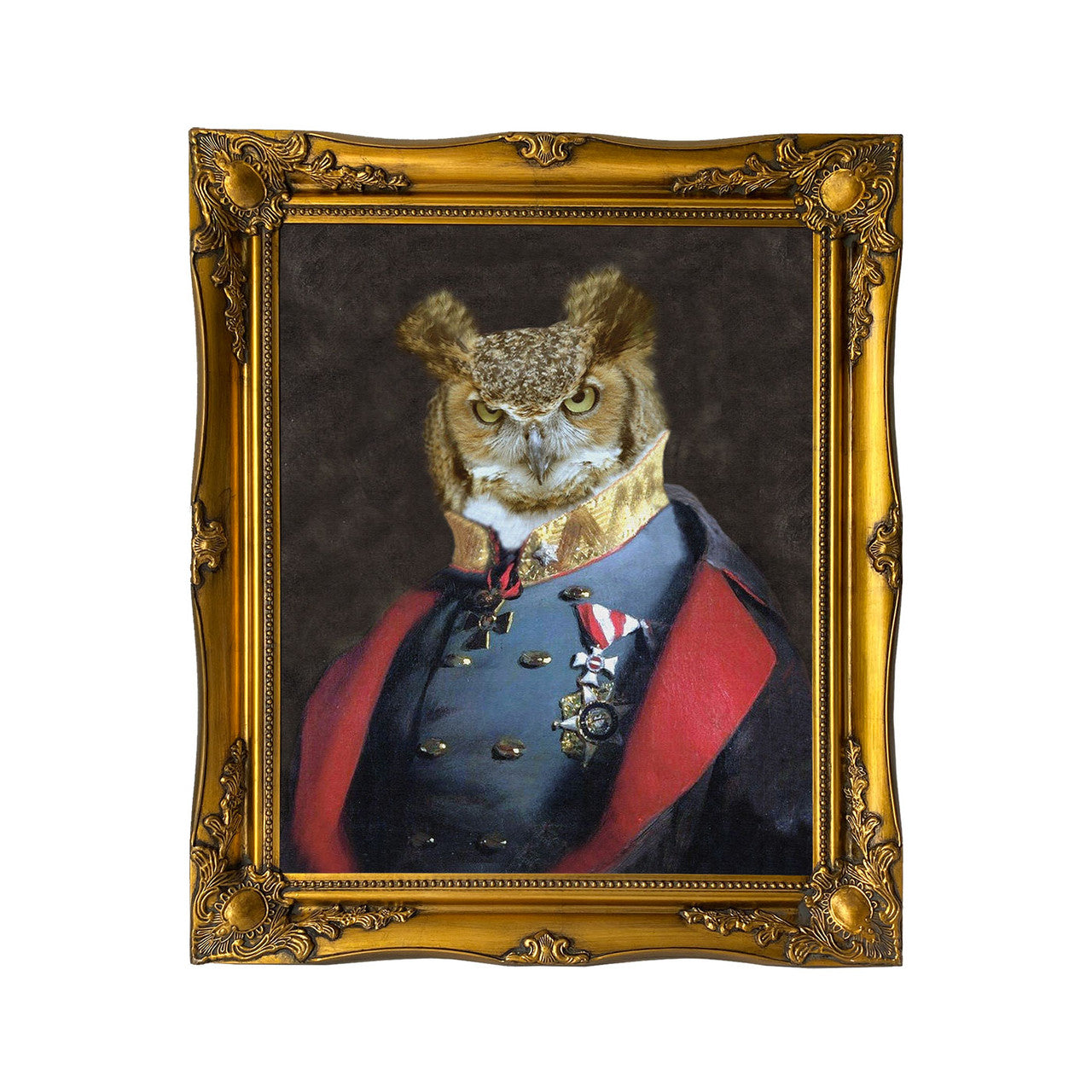 Mineheart Grandfather Olaf Leinwandbild 41x51cm Eule