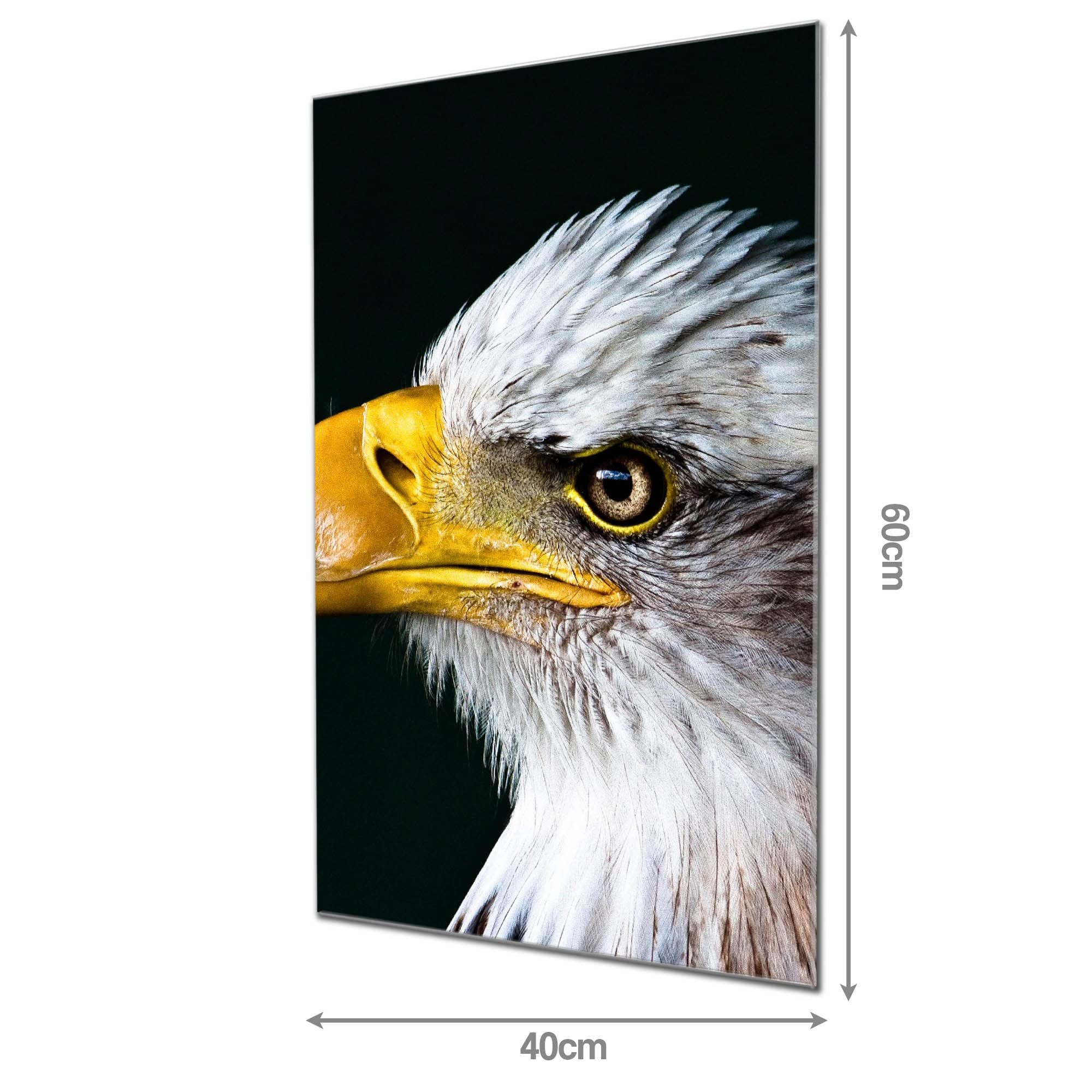 Banjado Magnettafel Glas Weißkopfseeadler 60x40 beschreibbar