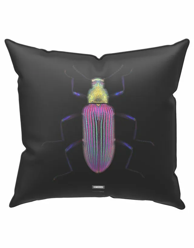 Mineheart Lady Cupripenne Kissen 45x45 cm Kaefer